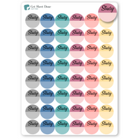 Study Student Planner Stickers / Appointments Reminder Stickers / Write In  / School Student Teacher /  / Bullet Journaling / Bujo / Essential Productivity Stickers