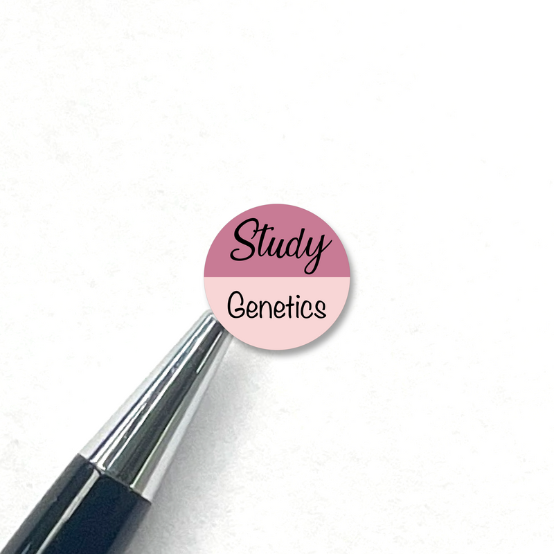Study Student Planner Stickers / Appointments Reminder Stickers / Write In  / School Student Teacher /  / Bullet Journaling / Bujo / Essential Productivity Stickers